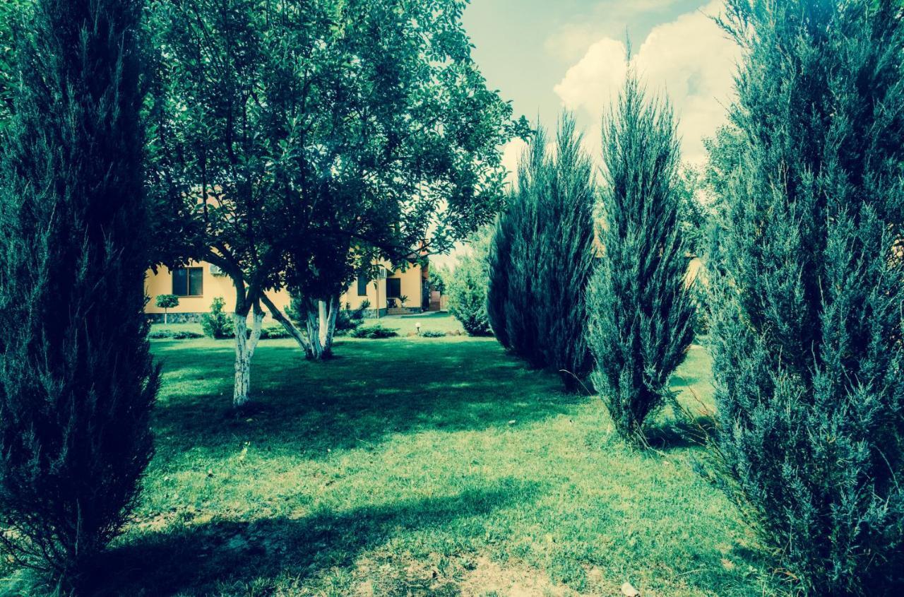 Sunrise Boutique Hotel Berehove  Esterno foto